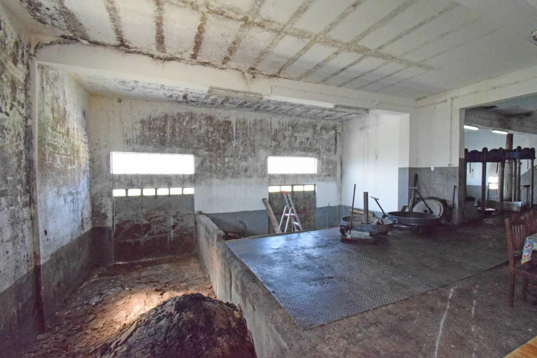 Armazém para Venda em Bendada Foto 29