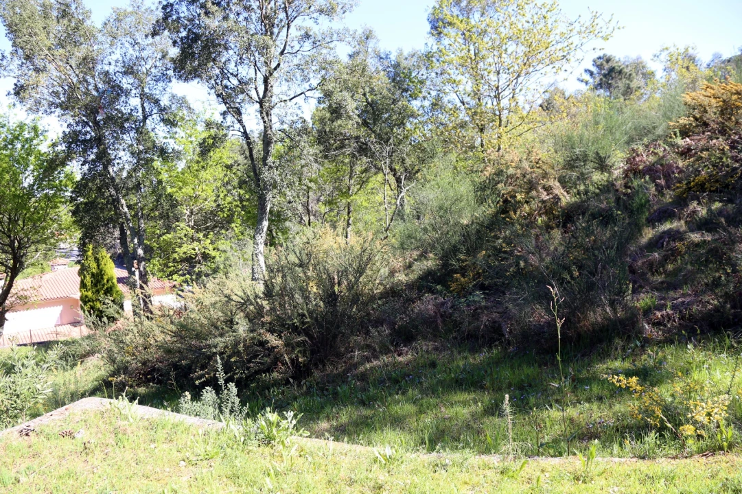 Moradia T4 para Venda em Raimonda Foto 48