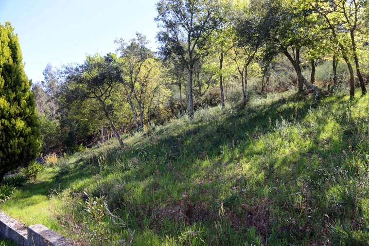 Moradia T4 para Venda em Raimonda Foto 50