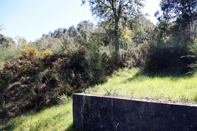 Moradia T4 para Venda em Raimonda Foto 49