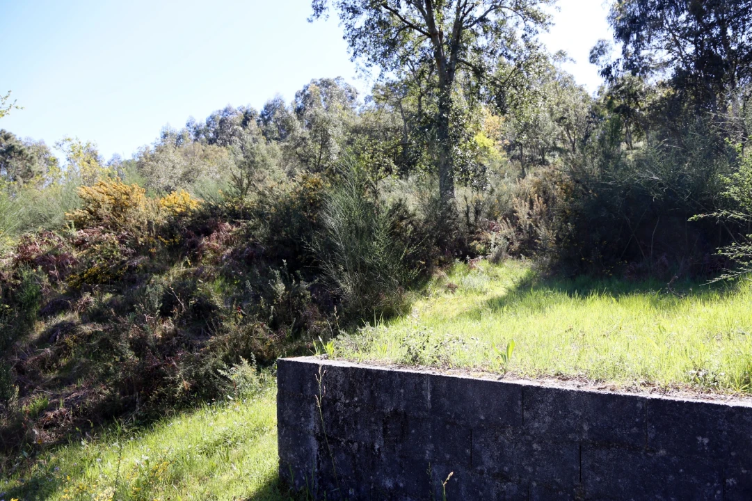 Moradia T4 para Venda em Raimonda Foto 49