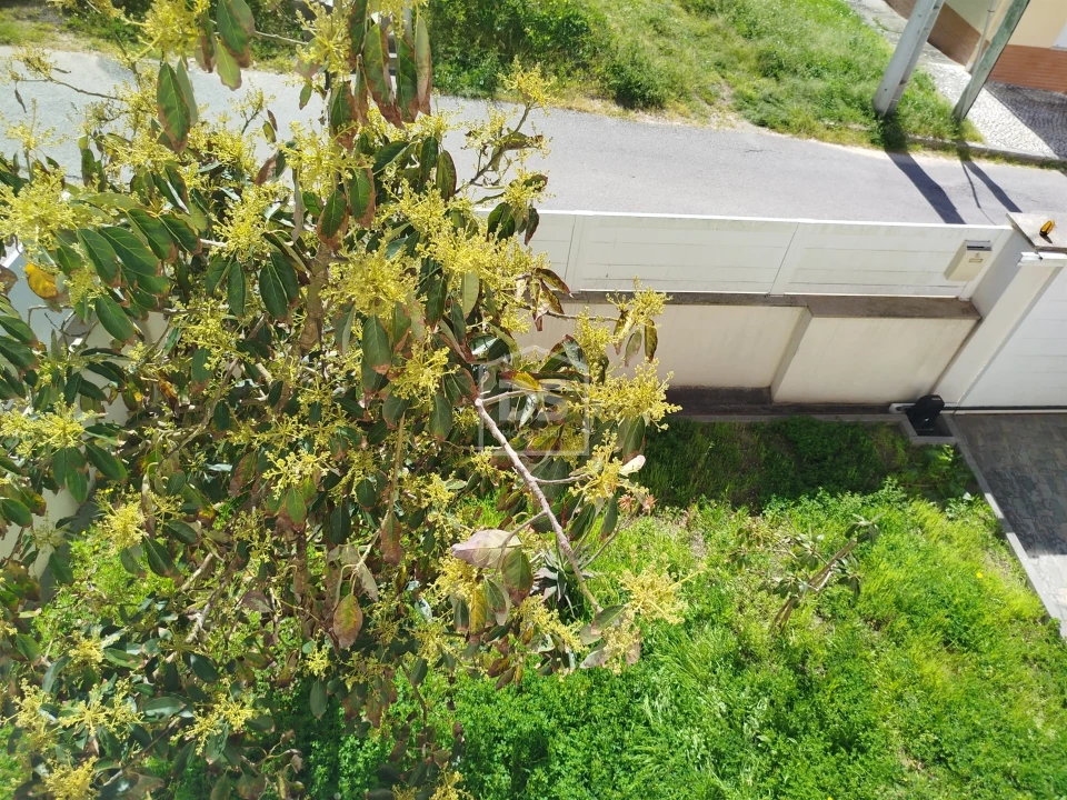 Moradia T5 para Venda em Buarcos Foto 56