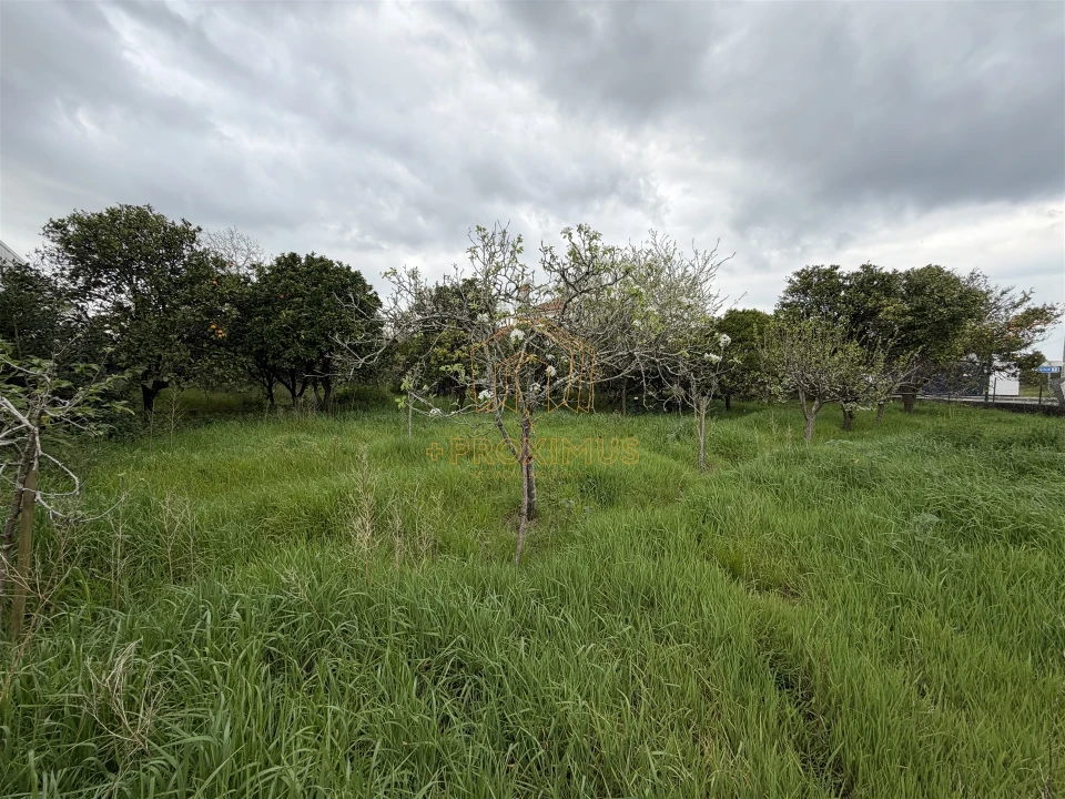 Moradia T2 para Venda em Tocha Foto 35