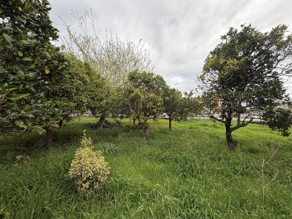 Moradia T2 para Venda em Tocha Foto 32