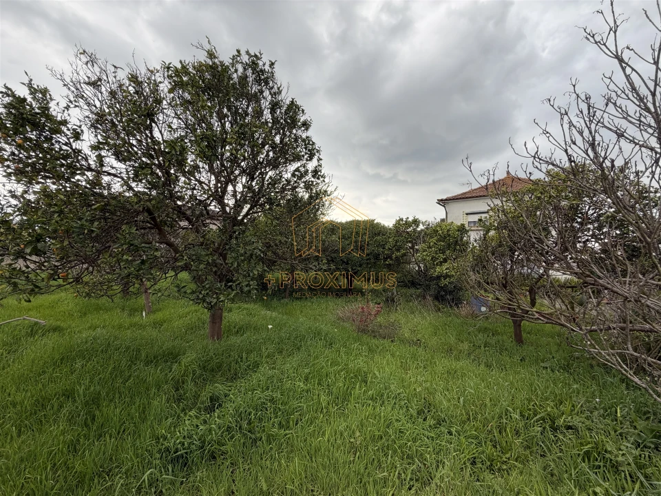 Moradia T2 para Venda em Tocha Foto 40