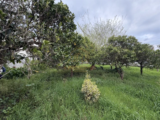 Moradia T2 para Venda em Tocha Foto 33