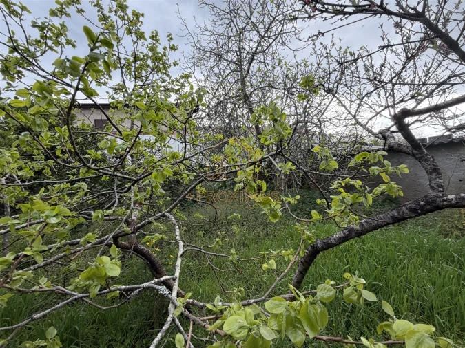 Moradia T2 para Venda em Tocha Foto 37