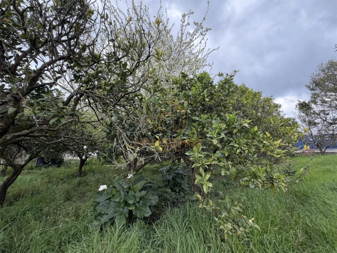 Moradia T2 para Venda em Tocha Foto 42