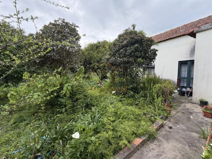 Moradia T2 para Venda em Tocha Foto 43