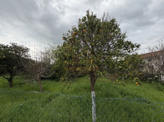 Moradia T2 para Venda em Tocha Foto 41