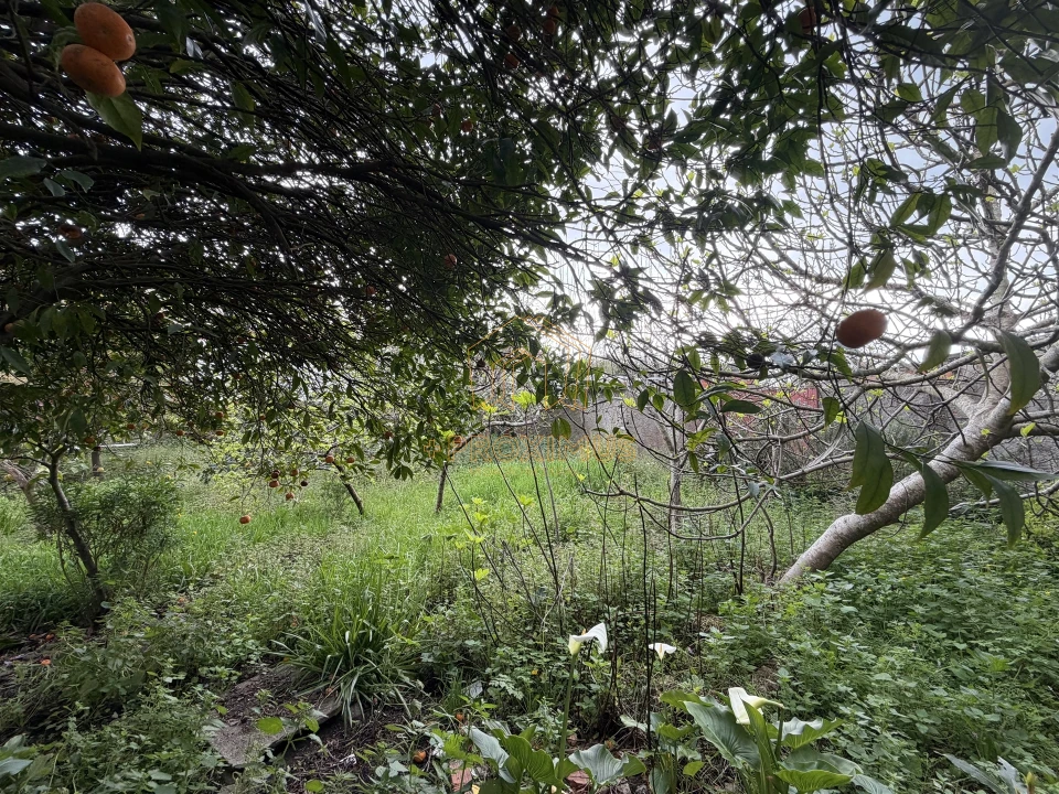 Moradia T2 para Venda em Tocha Foto 30