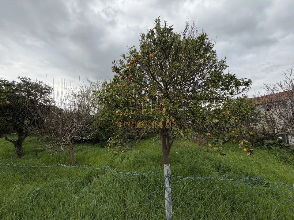 Moradia T2 para Venda em Tocha Foto 41