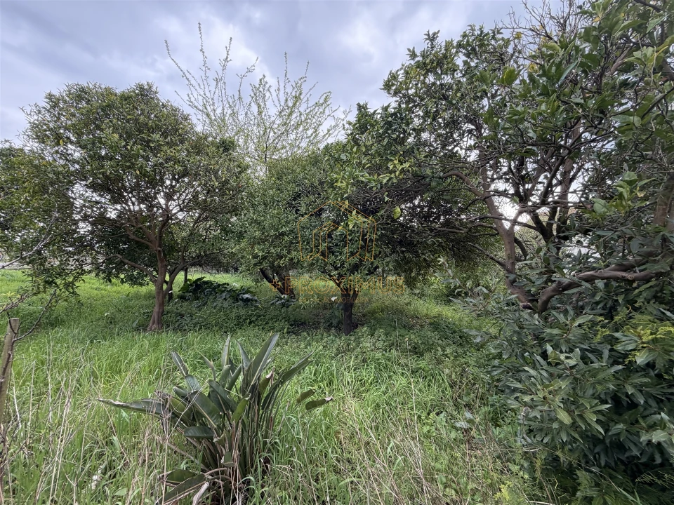 Moradia T2 para Venda em Tocha Foto 36