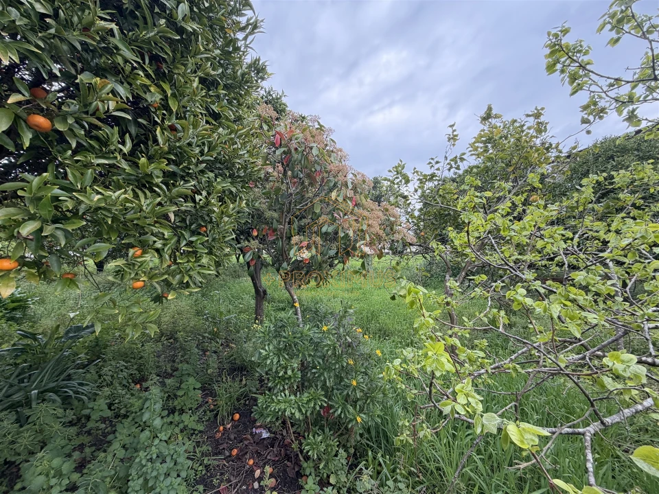 Moradia T2 para Venda em Tocha Foto 38