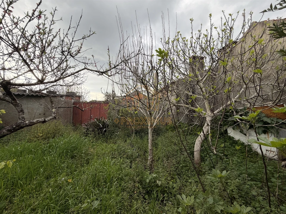 Moradia T2 para Venda em Tocha Foto 31