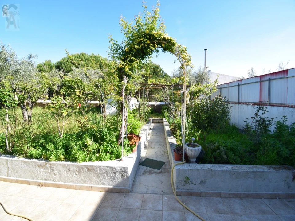 Moradia T2 para Venda em Esperança Foto 23