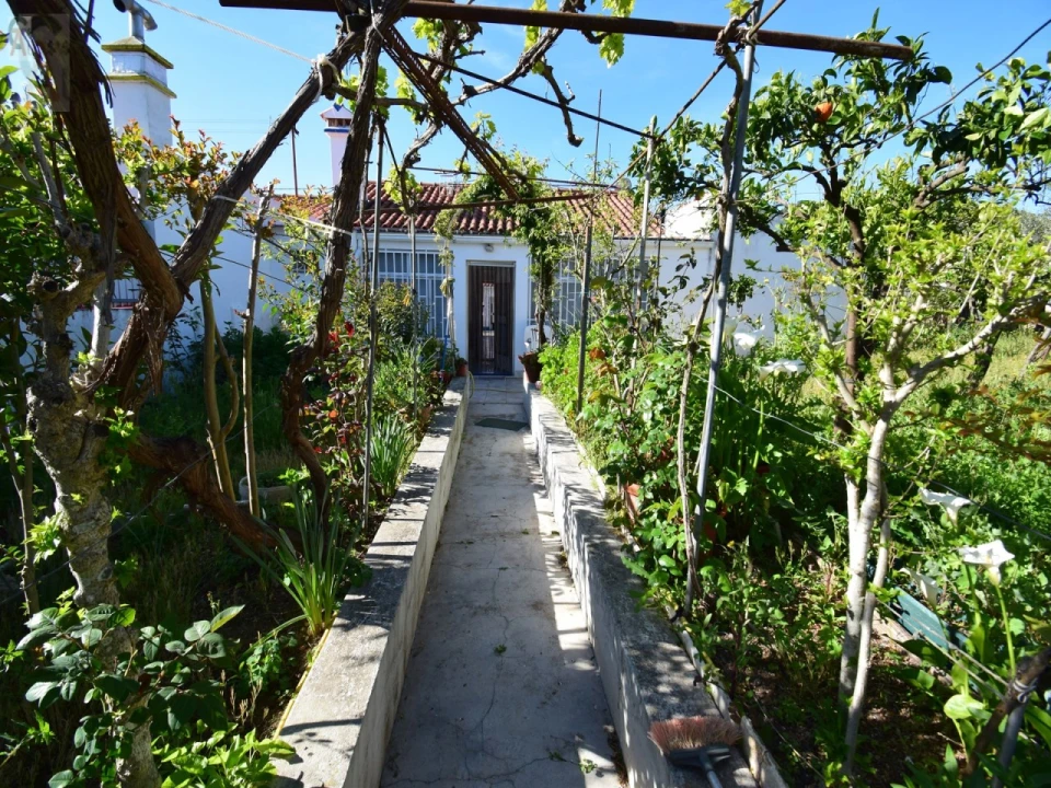 Moradia T2 para Venda em Esperança Foto 25