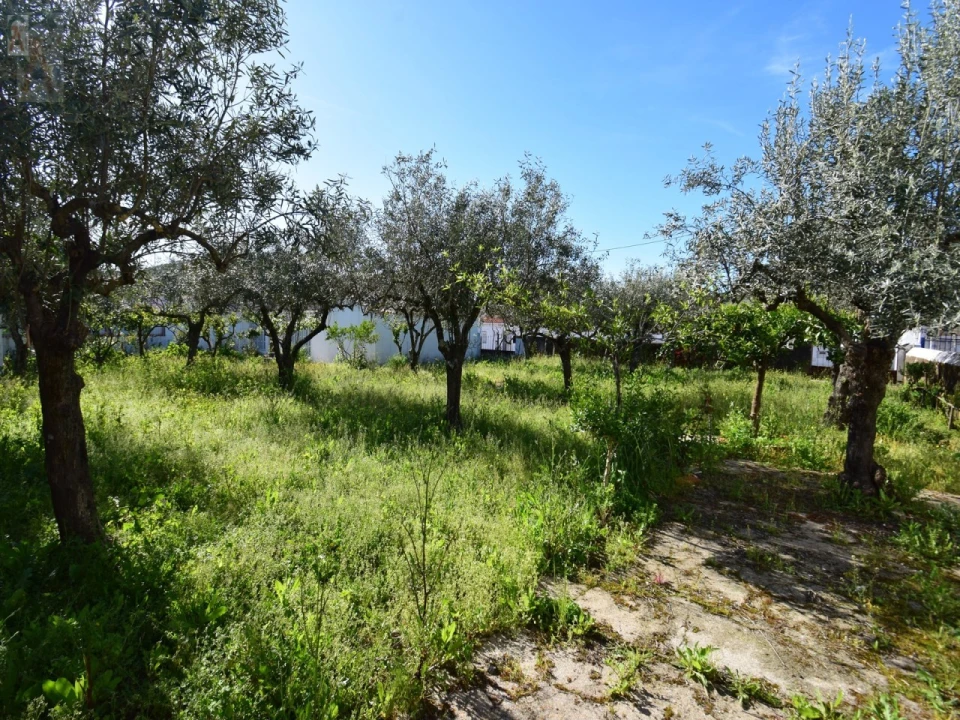 Moradia T2 para Venda em Esperança Foto 27