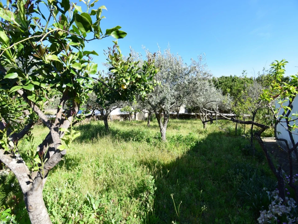 Moradia T2 para Venda em Esperança Foto 28