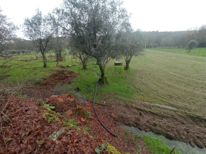 Moradia T2 para Venda em Boa Aldeia, Farminhão e Torredeita Foto 4