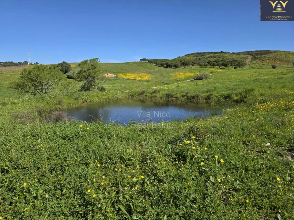Terreno Agricola ou Rústico para Venda em Bensafrim e Barão de São João Foto 4