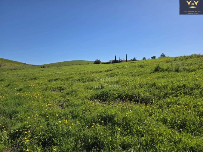 Terreno Agricola ou Rústico para Venda em Bensafrim e Barão de São João Foto 2