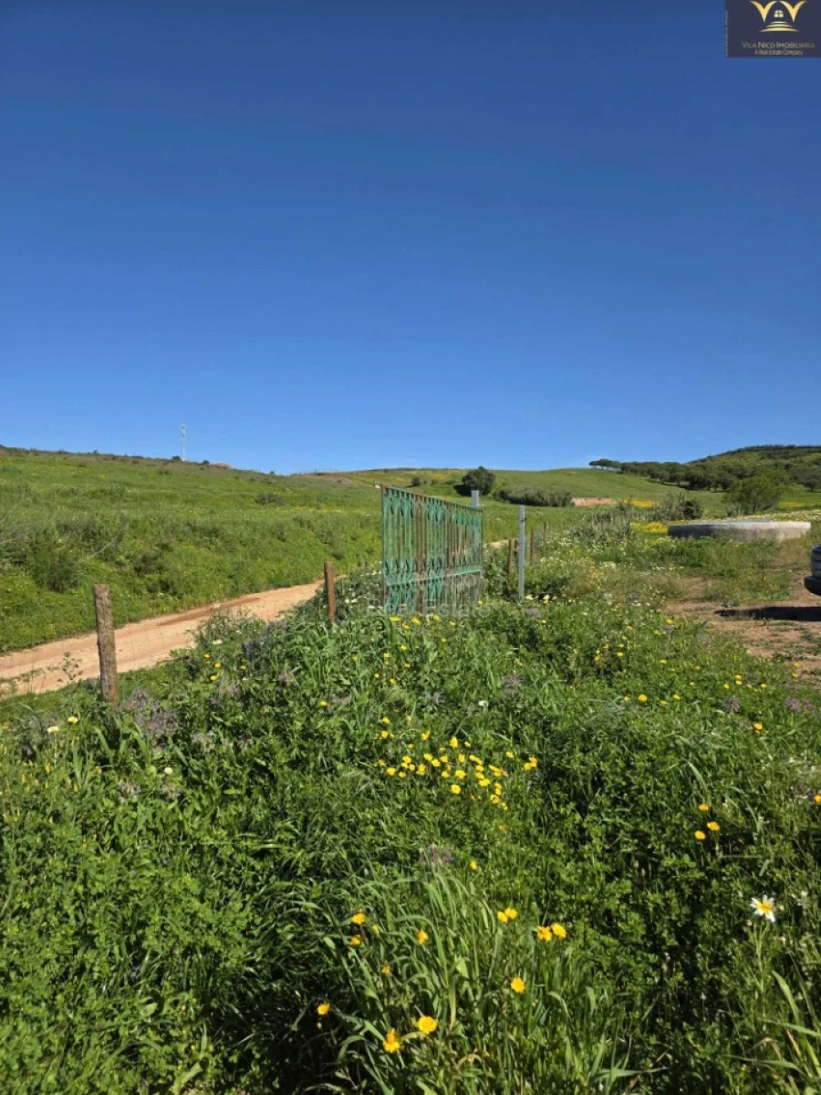 Terreno Agricola ou Rústico para Venda em Bensafrim e Barão de São João Foto 14