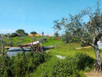 Terreno para Venda em Azoia de Cima e Tremês