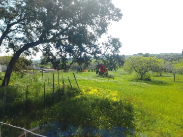 Terreno para Venda em Azoia de Cima e Tremês