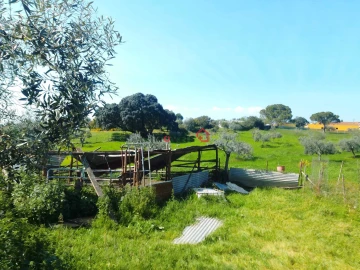 Terreno para Venda em Azoia de Cima e Tremês