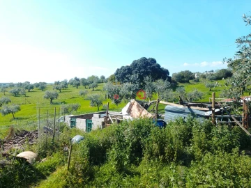 Terreno para Venda em Azoia de Cima e Tremês