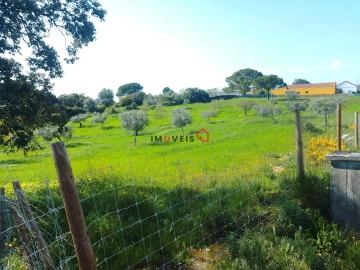 Terreno para Venda em Azoia de Cima e Tremês