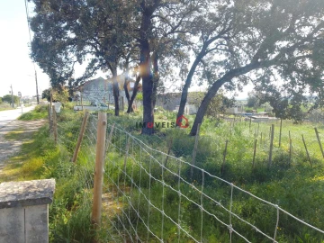 Terreno para Venda em Azoia de Cima e Tremês