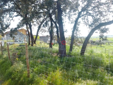Terreno para Venda em Azoia de Cima e Tremês