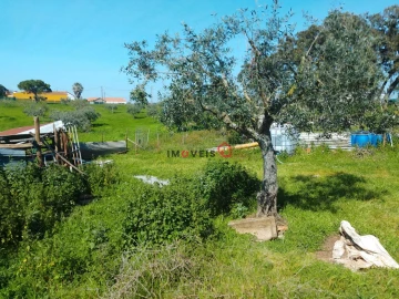 Terreno para Venda em Azoia de Cima e Tremês