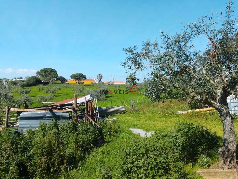 Terreno para Venda em Azoia de Cima e Tremês Foto 10