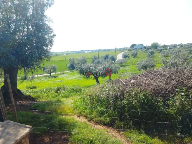 Terreno para Venda em Azoia de Cima e Tremês Foto 6