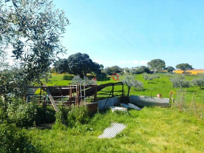 Terreno para Venda em Azoia de Cima e Tremês Foto 14