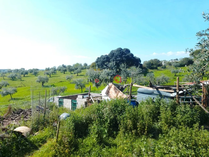 Terreno para Venda em Azoia de Cima e Tremês Foto 11