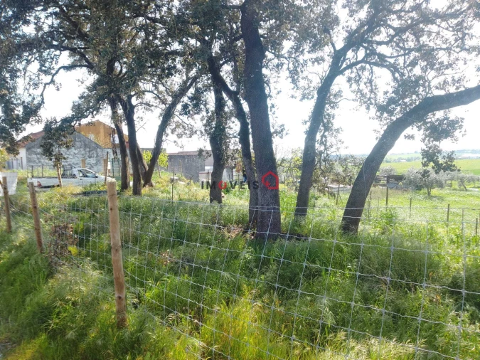 Terreno para Venda em Azoia de Cima e Tremês Foto 20