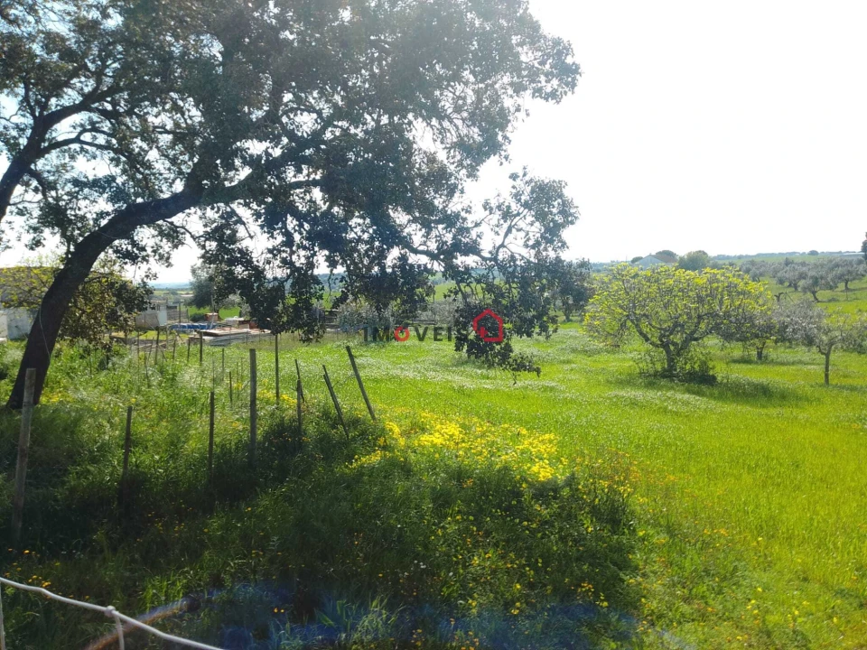 Terreno para Venda em Azoia de Cima e Tremês Foto 19