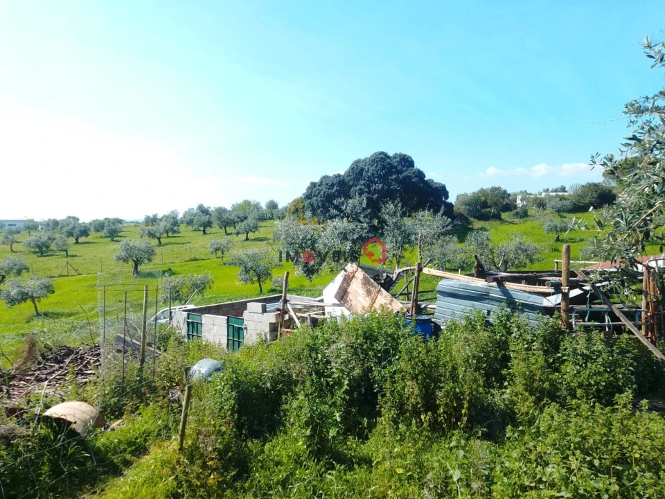 Terreno para Venda em Azoia de Cima e Tremês Foto 11