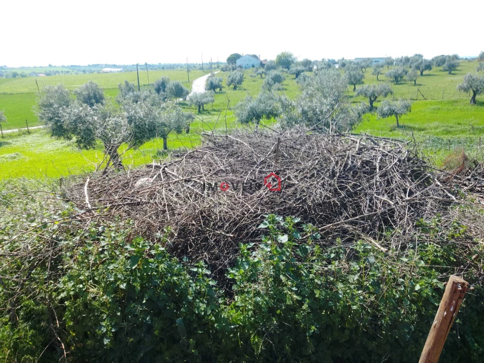 Terreno para Venda em Azoia de Cima e Tremês Foto 7