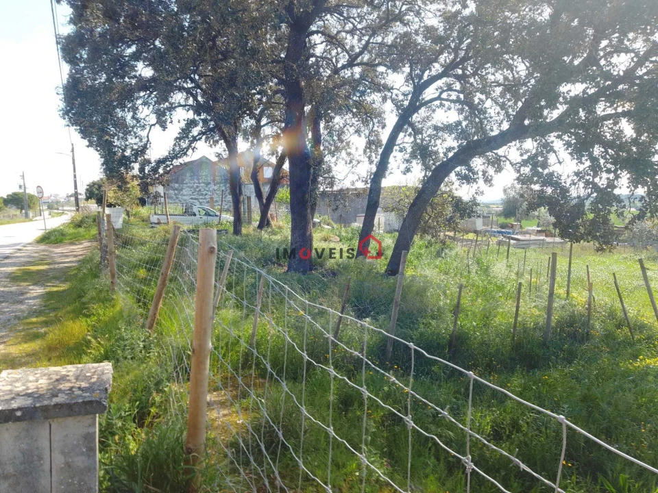 Terreno para Venda em Azoia de Cima e Tremês Foto 18