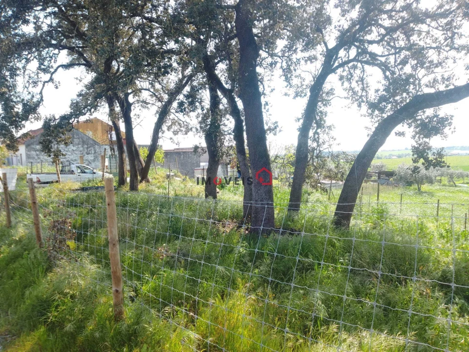 Terreno para Venda em Azoia de Cima e Tremês Foto 20