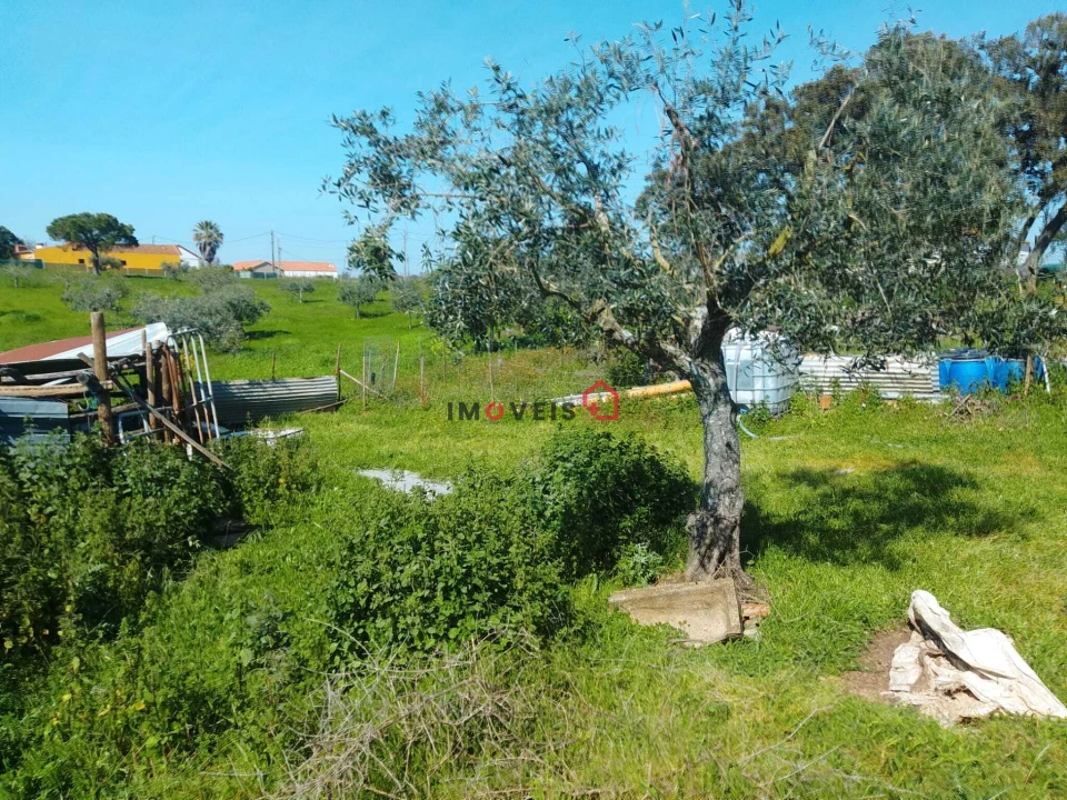 Terreno para Venda em Azoia de Cima e Tremês Foto 9