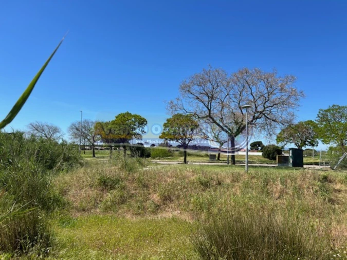 Terreno para Venda em Benavente Foto 8