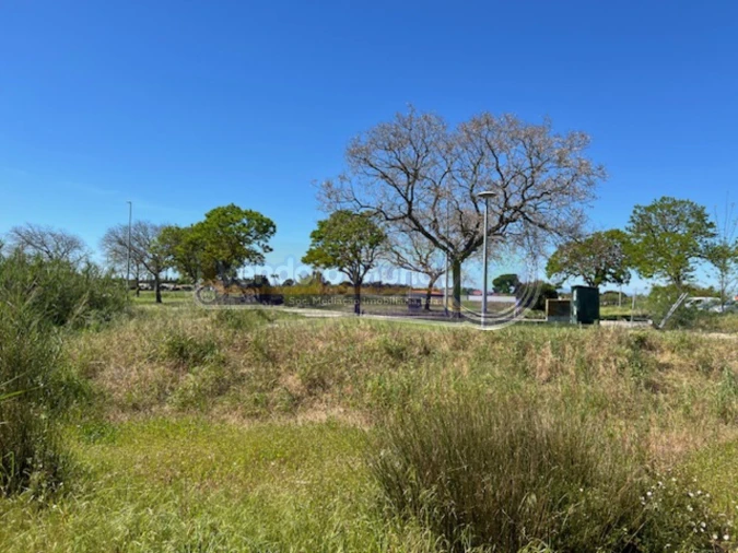 Terreno para Venda em Benavente Foto 5