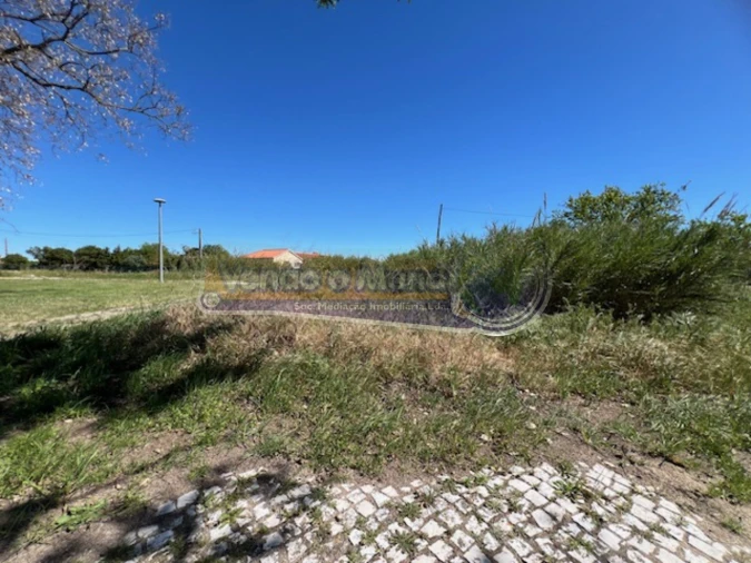 Terreno para Venda em Benavente Foto 3