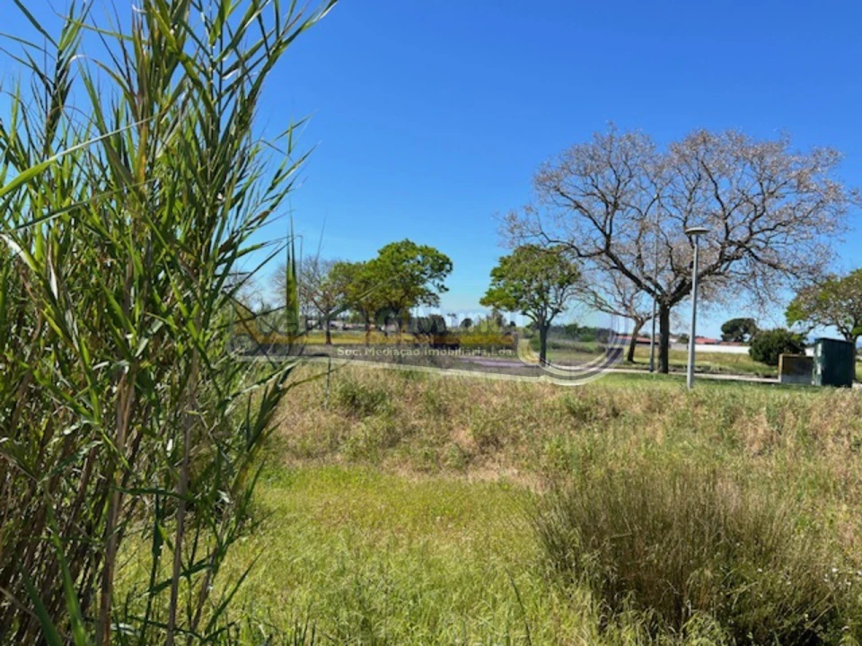 Terreno para Venda em Benavente Foto 6